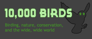 Visit 10000birds.com