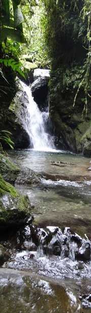 Mindo Waterfalls